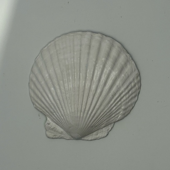 Hand-Painted Bold Lighthouse Shell Art - Picture 3 of 7